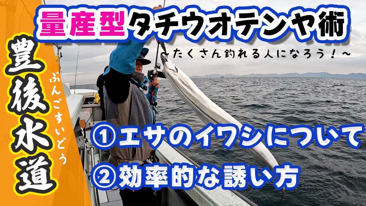 豊後水道タチウオテンヤでたくさん釣るためのエサと釣り方のコツ　＃初心者向け #あべちゃん遊漁