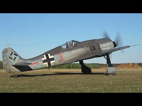 RC FW-190 A8 1/4 SCALE MOKI 250cc
