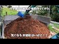全力竹材利用してみた結果