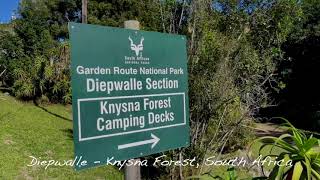 Camping in the Knysna Forest - Diepwalle tented decks