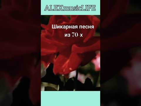 Ренат Ибрагимов -'Наш