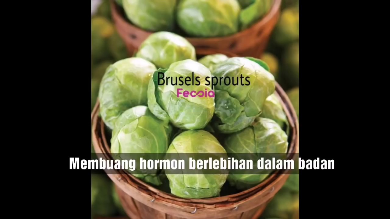 Makanan Untuk Kecutkan Cyst Dengan Cepat Youtube