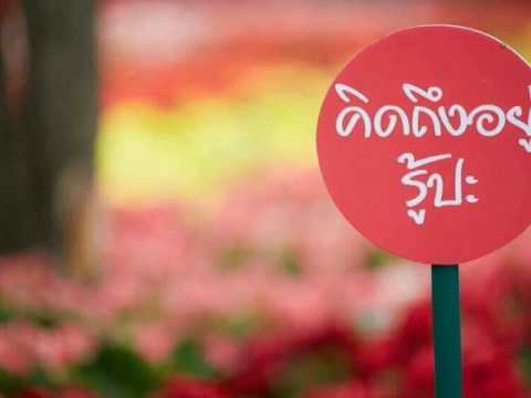 แค่พูดว่าคิดถึง # เอก สุระเชษฐ์