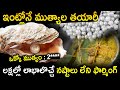 Pearls making at home  womens earning lakhs of rupees in pearls business  pearl farming  qube tv