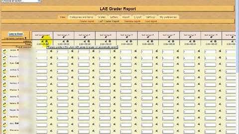 Moodle LAE Grader Report