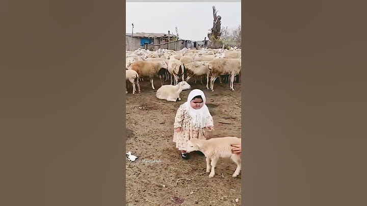 Hajj Yatra by Cute baby in | Alhamdulillah |#hajj #islamic #reels #babyvideos #trending #funny ...