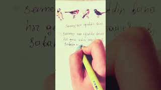 Sevmeyi sen öğretdin bana…#shorts #aşk #duygusal #özlem