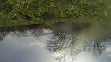 Failed Fly 3DR Iris +