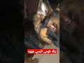 ياله قومي البسي هههه