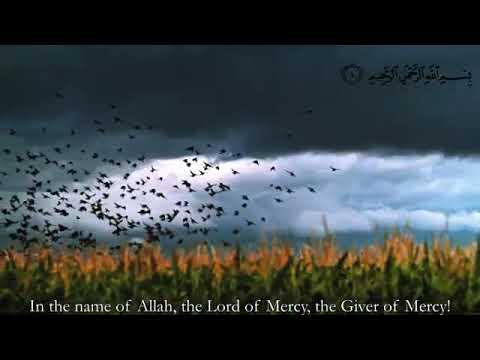 Surah Al Sajdah Qari Abdul Basit (No Ads)