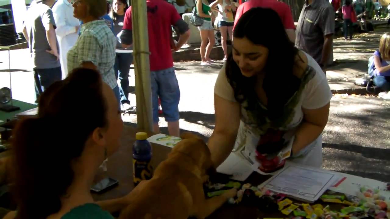 Ψ Psychology Club Ψ.MP4