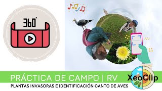 Práctica de campo en RV | Identificación de plantas invasoras e canto de aves