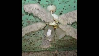 Download Lagu kano - Ghost Feeder (2020) MP3