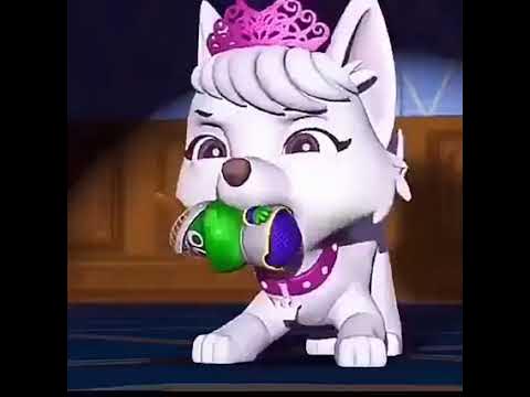 CapCut_paw patrol jojo reference