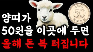 양띠 부자 됩니다 양띠는 부자가 되고 싶다면 50원 동전 이곳에 두세요 큰돈이 들어옵니다 2024년 갑진년 …