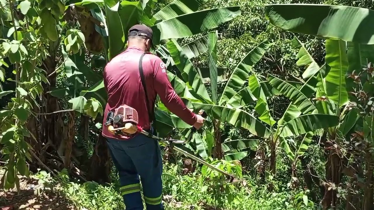 Testando a Roçadeira - Será que Ela Vai Funcionar Ou Não?