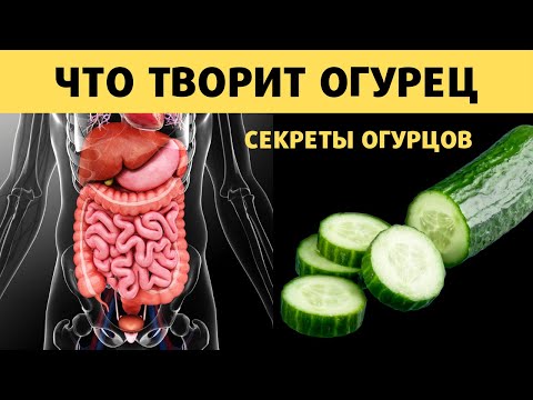 Видео: Что такое дикие огурцы: факты о диких огурцах и управление ими