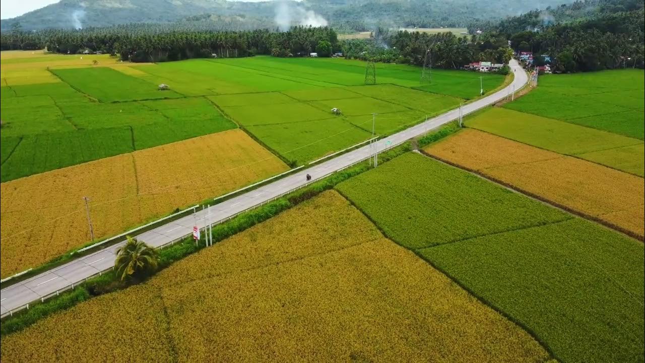 Curuan Zamboanga City YouTube