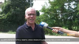 ALLERTA METEO IN TUTTO IL VENETO, A ROSA' SRADICATI ALBERI E PALI DELLA LUCE | 28/07/2021