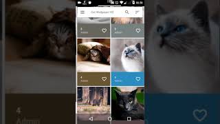 Cat Wallpaper HD screenshot 4