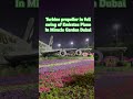Turbine propeller of Emirates Plane In Miracle Garden Dubai @VisitDubai #shorts #viral