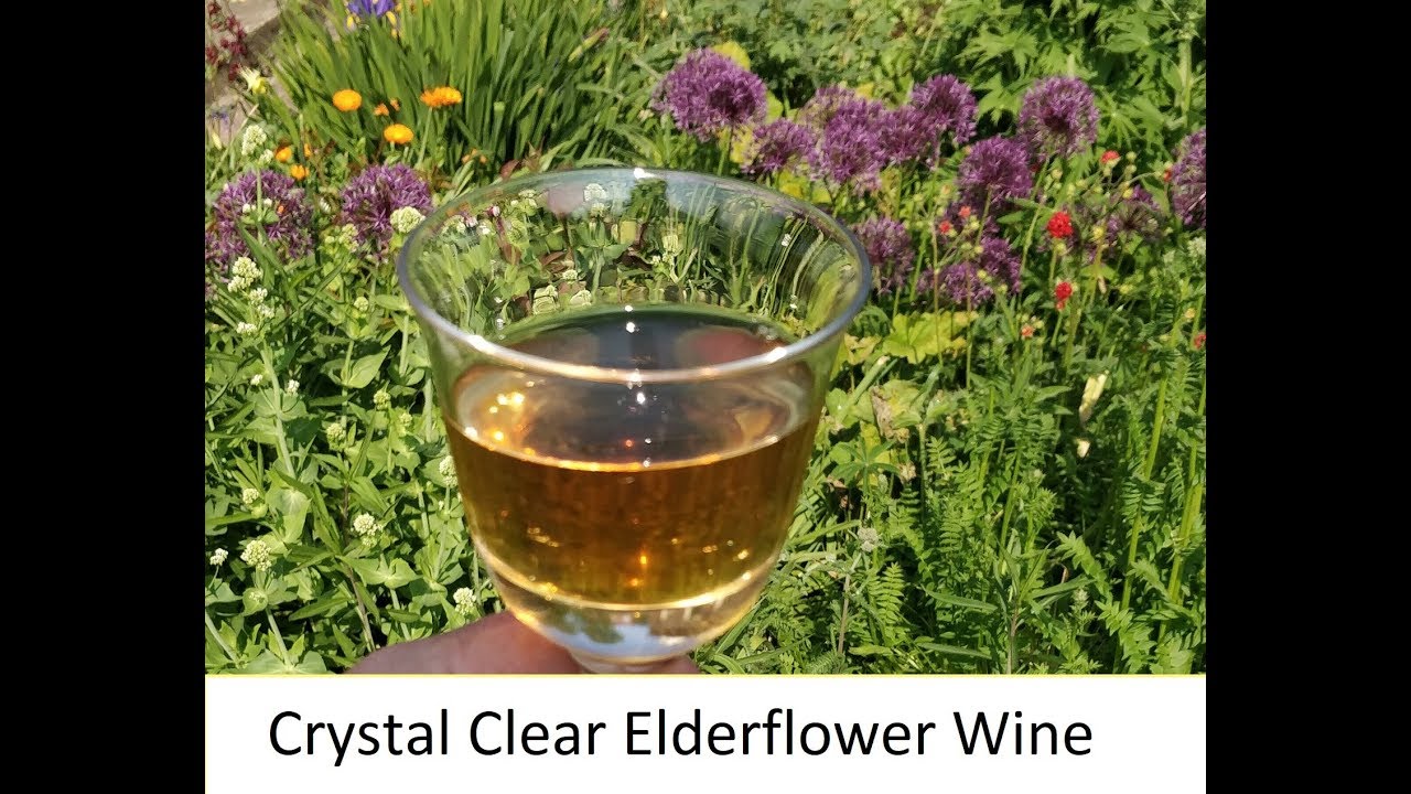 Crystal clear elderflower wine (part 3)