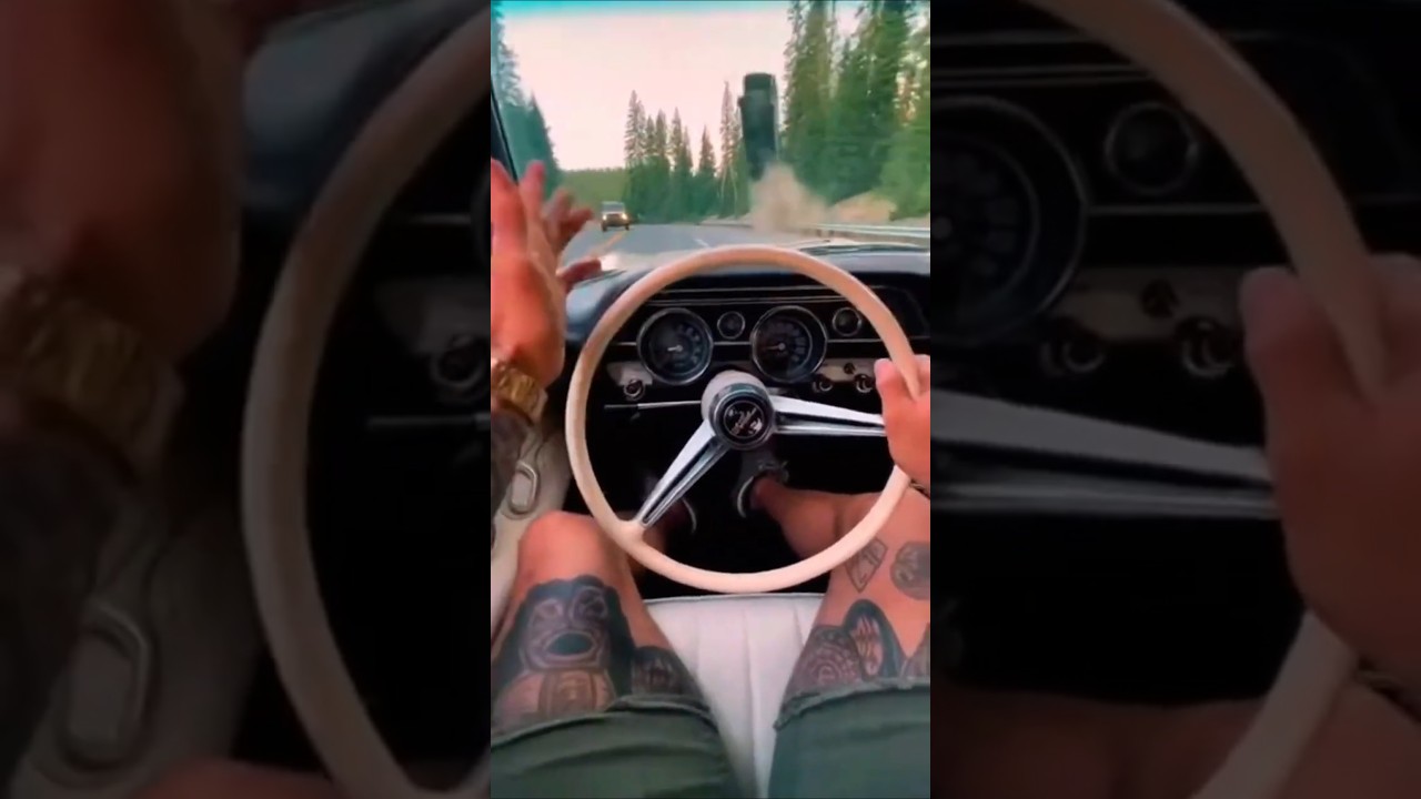 Ракурс от первого лица - 1969 год. Дорожный Бегун во время мирной поездки запечатлел пролетающий ...