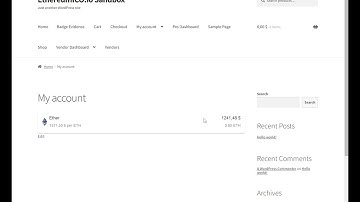 Ethereum Wallet Balance Shortcode Demo - WordPress Ethereum Wallet Plugin