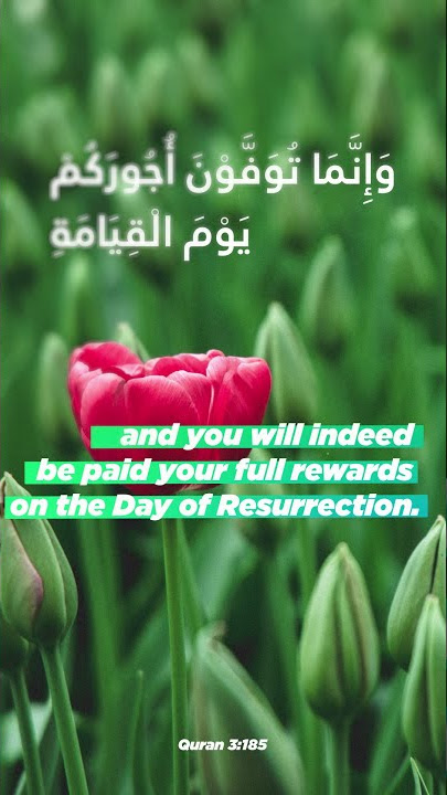 Surah Al Imran - 185 | Recitation | Sheikh Saad Slaoui