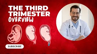 THIRD TRIMESTER: WHAT TO EXPECT DURING PREGNANCY