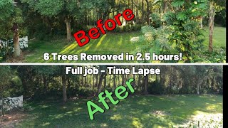 6 Tree Removal turns a Tampa backyard jungle into a beautiful open space! by Steve's Tips, Tech, and Tackle 409 views 7 months ago 8 minutes, 50 seconds