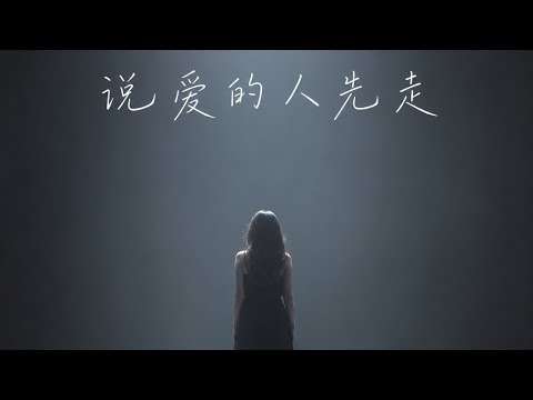 吃瓜公子《说爱的人先走》｜在最孤单的时候刚好想起你【Official Lyric Video】