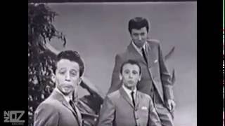 Video thumbnail of "The Bee Gees - I Want You To Want Me (1963)"