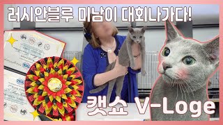 러시안블루 미남이 캣쇼에서 도둑질하다?! (캣쇼를 아시나요?) by 똥고집 5,848 views 4 years ago 7 minutes, 13 seconds