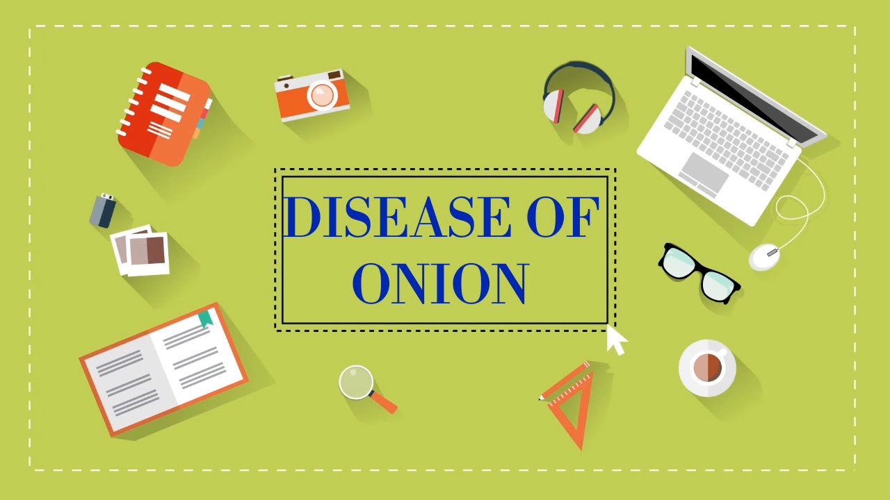 Diseases of Onion YouTube