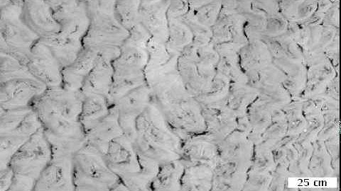 Sand ripple evolution in steady flow