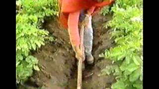 Download Lagu SAWARI UNA PELICULA DE MATRIMONIO DE ECUADOR MP3