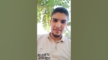 ما تيسر من سورة النحل #القرآن_الكريم