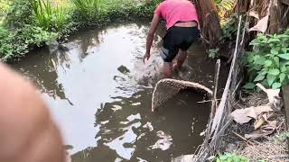 Amazing | Village | Fishing🎣 #fishingvideo #fishing #villagelife #nepal