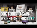 Top 5 Best Dog Food to Gain Weight and Muscle Review in 2023 | Flavor Salmon/Duck/Red Meat/Chicken