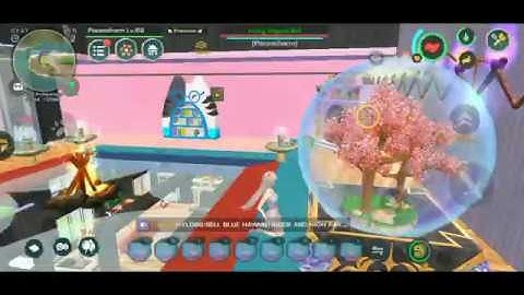 Open 37 Hibiscus Gift & 500 Wishing Shells! | TEST MY LUCK 😂 Utopia:Origin