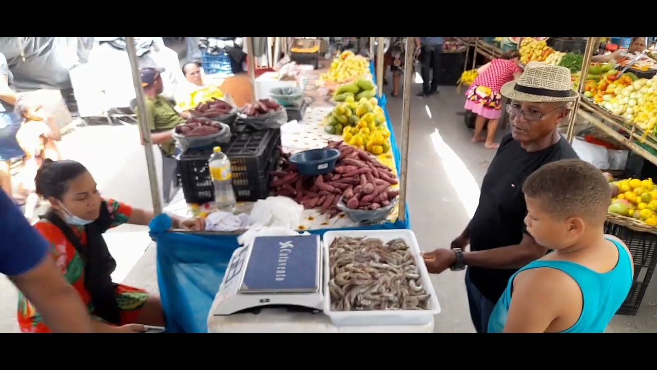 Feira de ipojuca 22/11/22