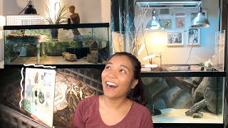 REACTING TO MY SUBSCRIBERS’ TURTLE ENCLOSURES - turtle tank setup ideas!!! (ep. 1)