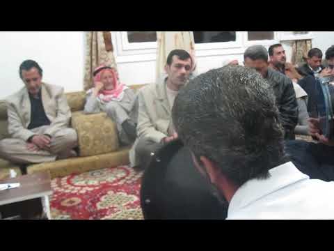 نورس هي شمس بدت في ظلال 21 2 2010