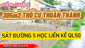 Bán Đất Cần Giuộc 305m2 THổ Cư SHR Thuận Thành Giá Mềm