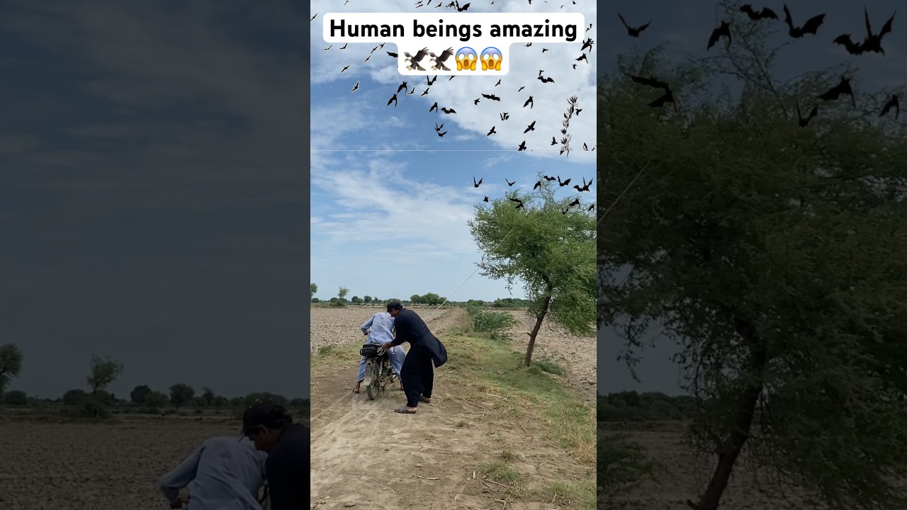 Human beings amazing to 😱😱🦅🦅🦅🦅🦅🦅 