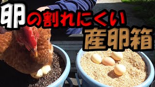 【産卵箱】卵の割れにくい産卵箱の作り方　Free range eggs