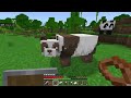 長激レアな茶色パンダ見つけたああああ Minecraft 