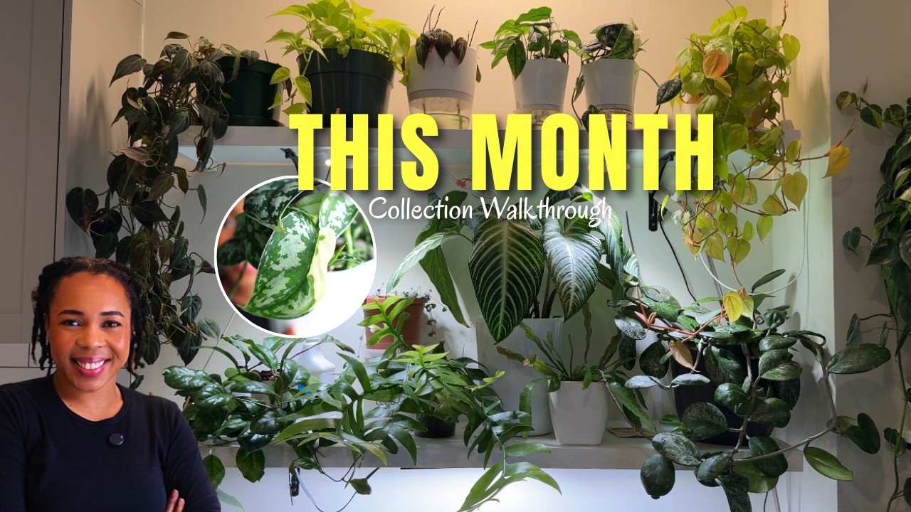 My Monthly Plant Check‑In What’s Improving, Struggling & On My Radar | February 2026