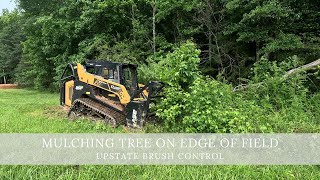 Mulching Fallen Tree on Edge of Field